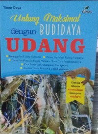 Untung Maksimal Dengan Budidaya Udang